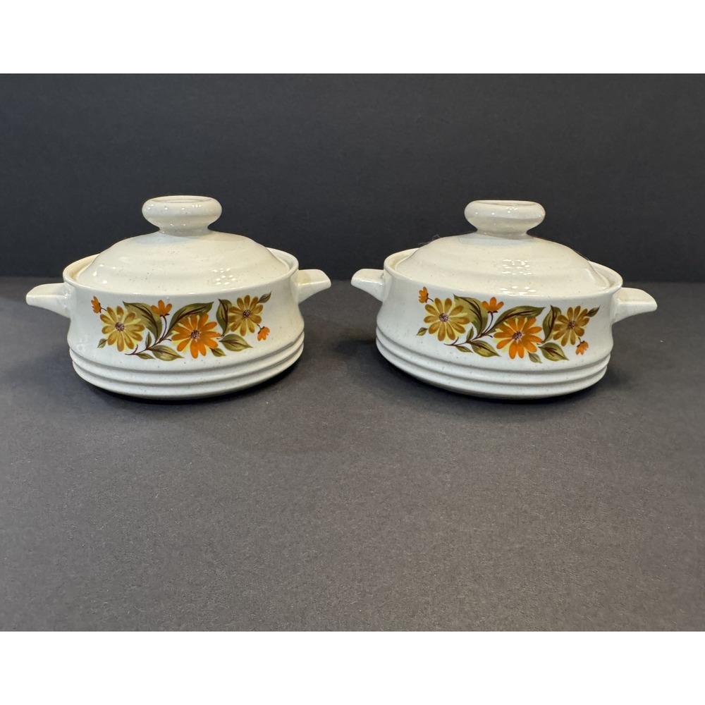 Capri Bake Serve N Store Vintage Stoneware Lidded Individual Casseroles Set of 2